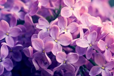 绍兴嵊州企业急用钱贷款攻略：快速融资解燃眉之急